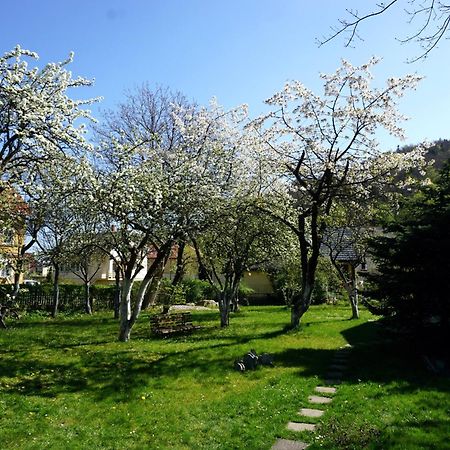 Gorski Sad - U Bazyla Piechowice  Exterior foto